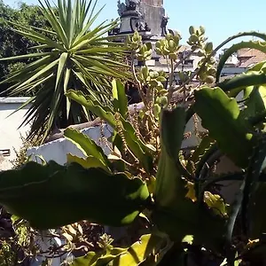 https://creative-apartment.catania-hotels.net